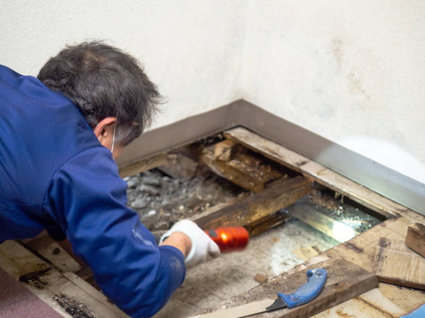 Best Bathroom Mold Remediation in Grandview Plaza, KS
