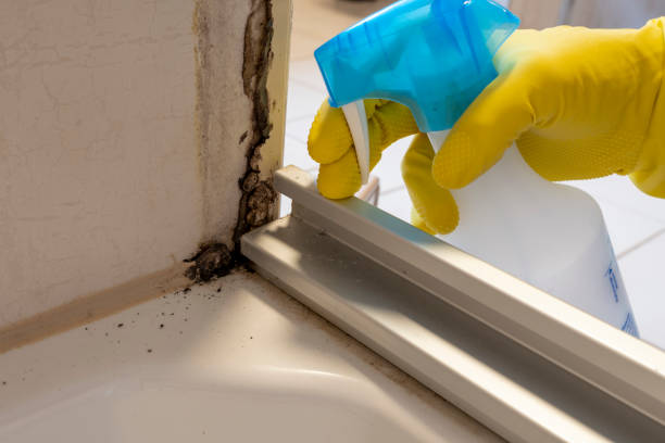 Best Industrial Mold Remediation in Grandview Plaza, KS
