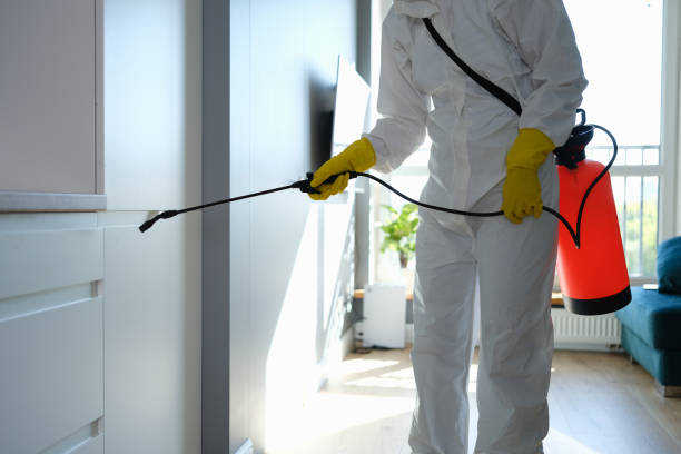 Best DIY Mold Remediation Support Services in Grandview Plaza, KS