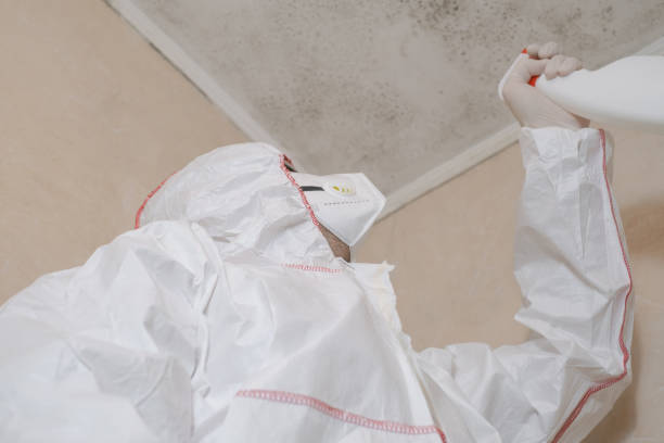 Best Kitchen Mold Remediation in Grandview Plaza, KS